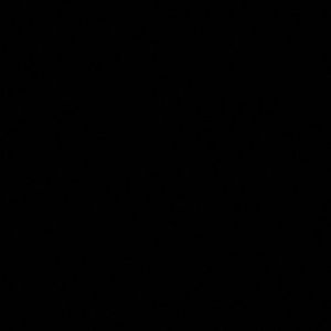 Meet your Posher, Cornelius